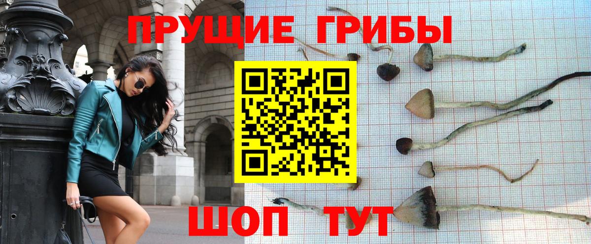 Псилоцибиновые грибы Cubensis  сколько стоит  Минеральные Воды  Вход с VPN 